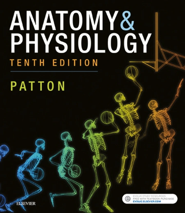 Anatomy and Physiology