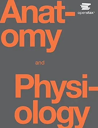 Anatomy and Physiology