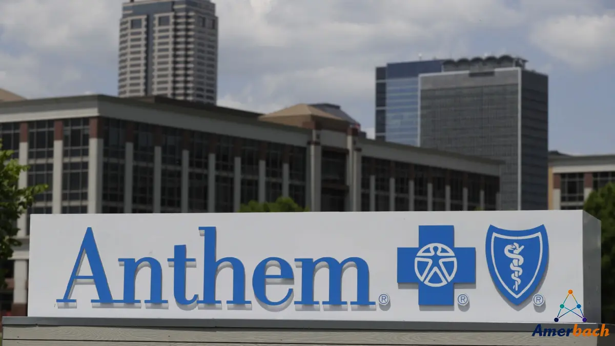 Cyber Risk Financing Strategy for Anthem Blue Cross Blue Shield